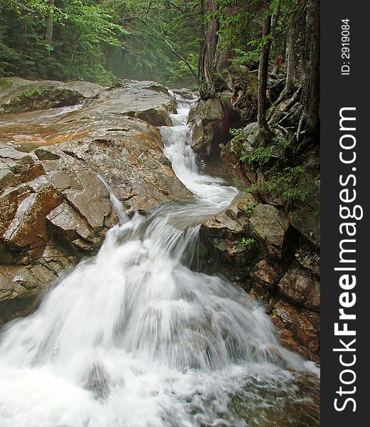 A cascade flows through a misty rain forest. A cascade flows through a misty rain forest