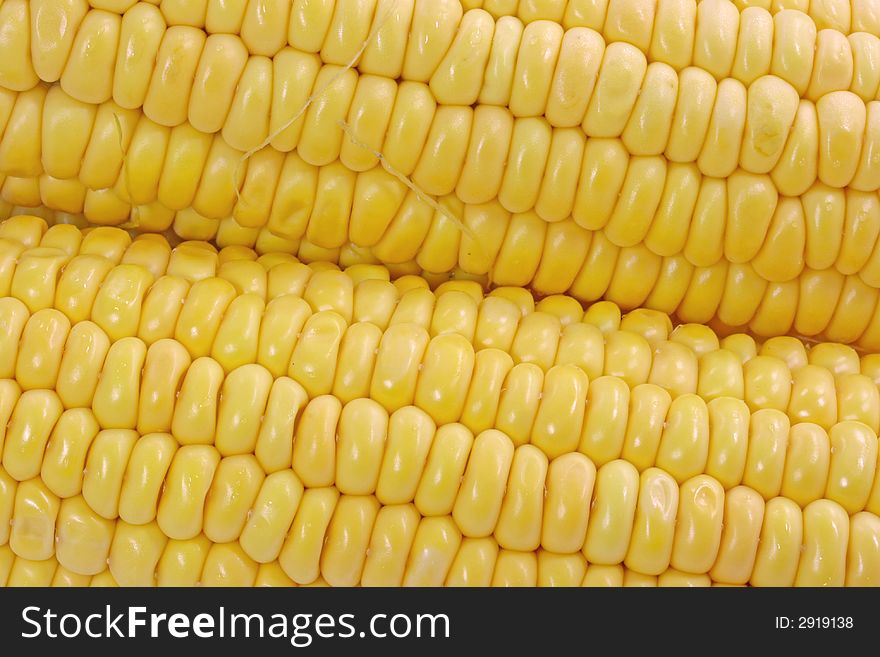 Yellow maize background close up