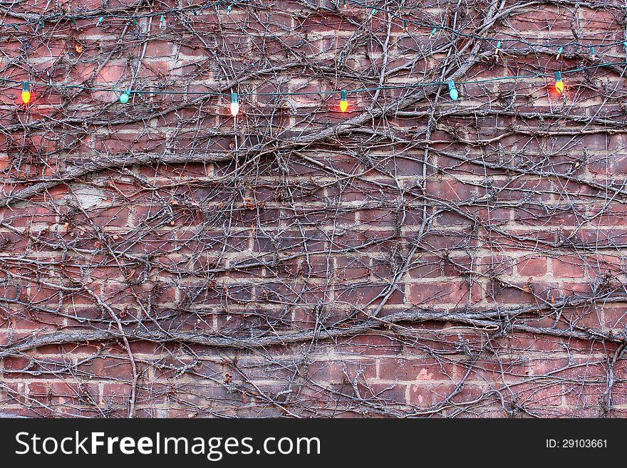 Interesting old brick wall covered with creeping branches and strings of colorful old-fashioned lights. Interesting old brick wall covered with creeping branches and strings of colorful old-fashioned lights.