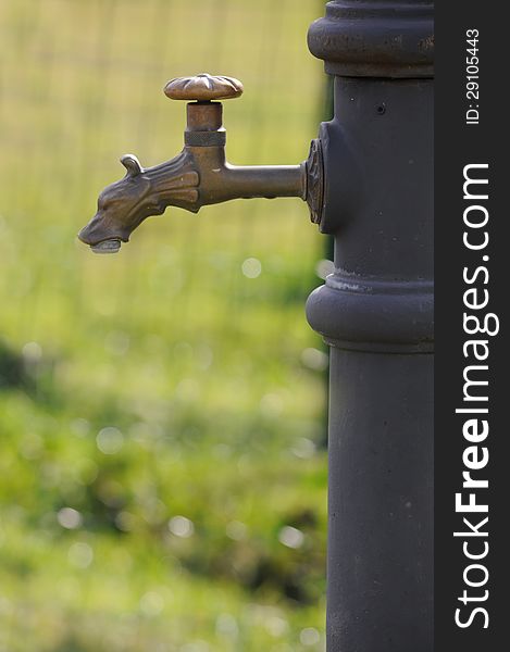 Dog shaped tap on water fountain