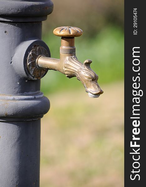 Dog shaped tap on public water fountain