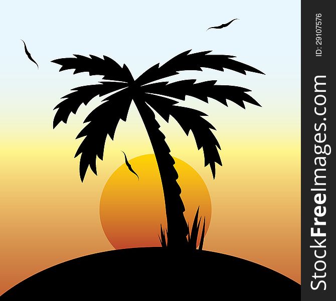 Vector illustration of a tropical sunset and palm tree.vector