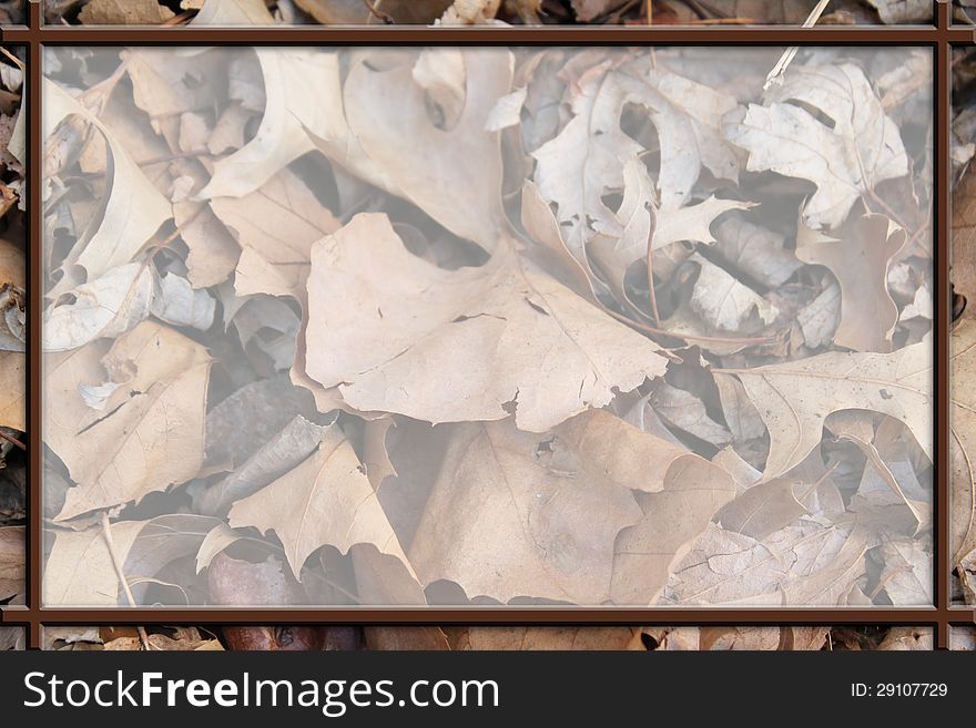 Pile of brown fall leaves in a rectangular frame with faded background. Pile of brown fall leaves in a rectangular frame with faded background