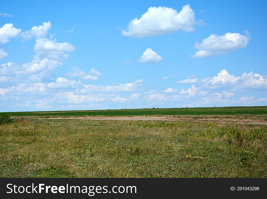 Ukrainian Field With Clouds