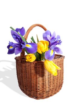Big Wicker Basket With The Spring Flowers Royalty Free Stock Photography