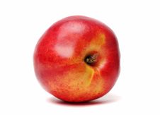 Single Nectarine Isolated Stock Image Single Nectarine Isolated Stock Image