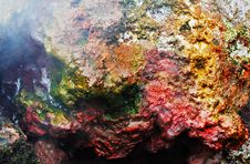 Inside Batur Volcano Royalty Free Stock Photography Inside Batur Volcano Royalty Free Stock Photography