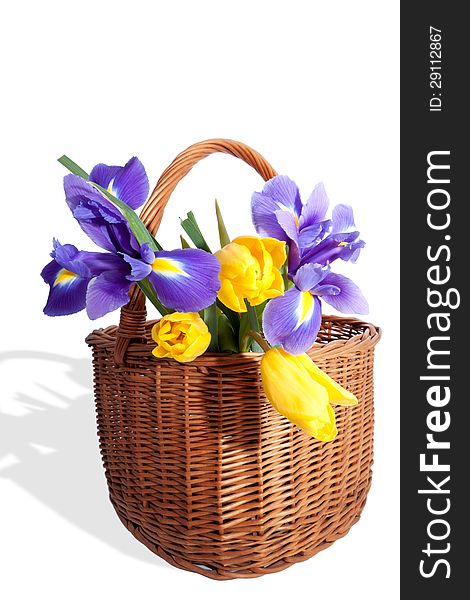 Big wicker basket with the bright spring flowers