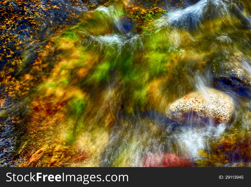 Colorful seaweed and rocks at low tide