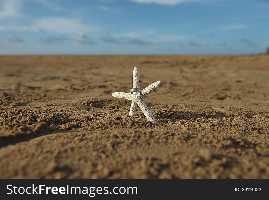 Starfish on sandy beach with two wedding bands