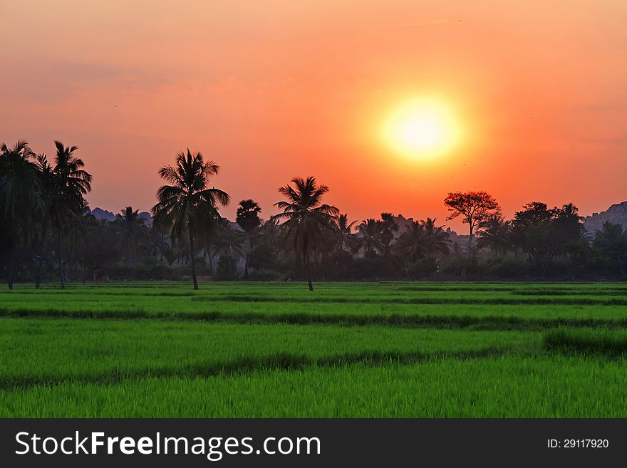 Red Sunset, India