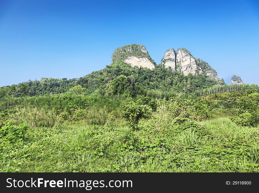 Beautiful mountain and meadow on the blue sky