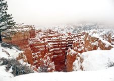 Winter In Bryce Canyon Royalty Free Stock Photography Winter In Bryce Canyon Royalty Free Stock Photography