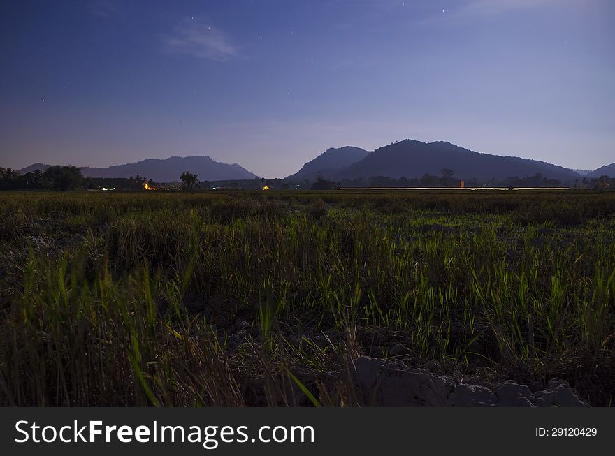 The view from harvested paddy field at night. Found in Malaysia. The view from harvested paddy field at night. Found in Malaysia