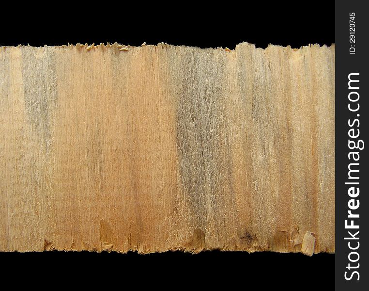 Closeup of light wooden texture