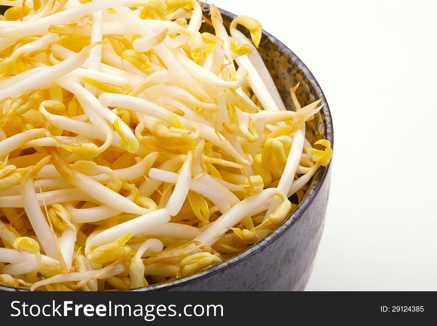 Beansprout ingredients in Asia food. Beansprout ingredients in Asia food.