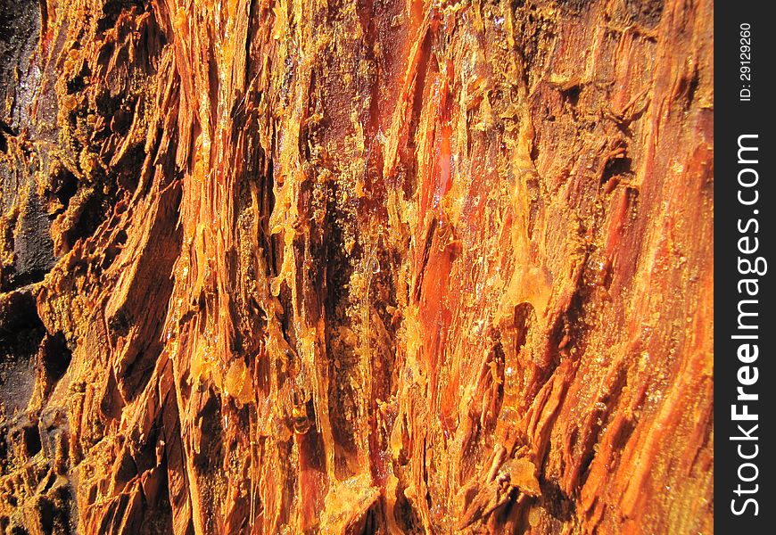 Texture / background of black pine resin