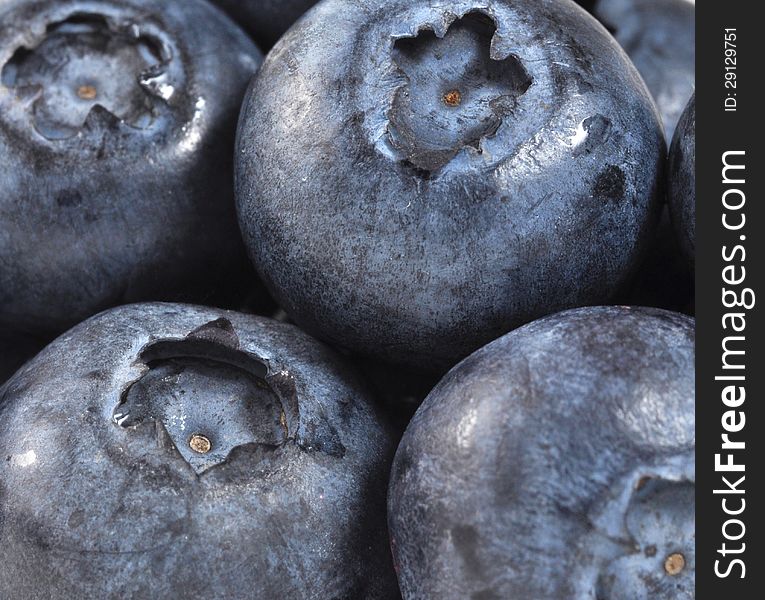 Freshly picked blueberries from the market