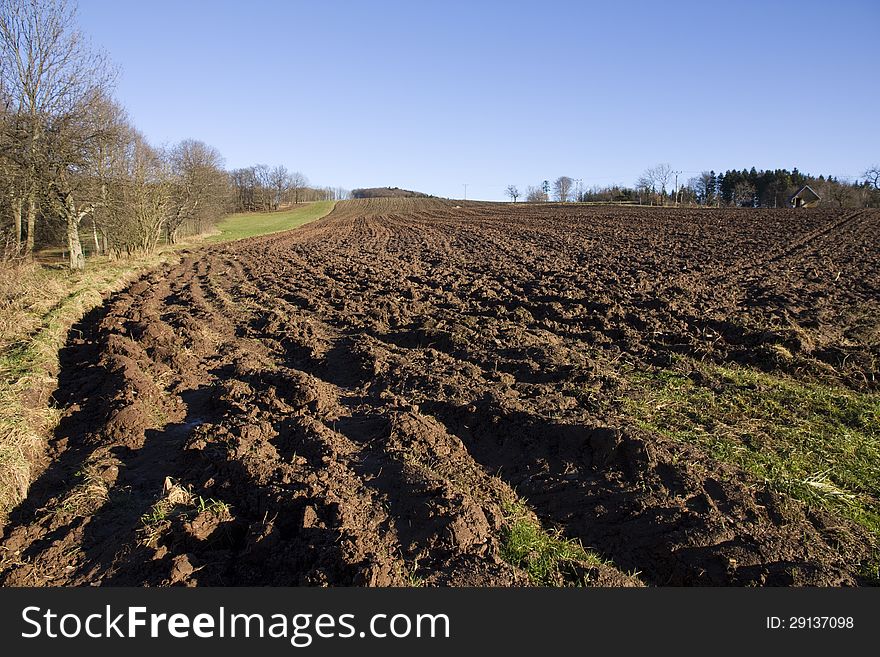 Autumn landscape with a brown field. Autumn landscape with a brown field