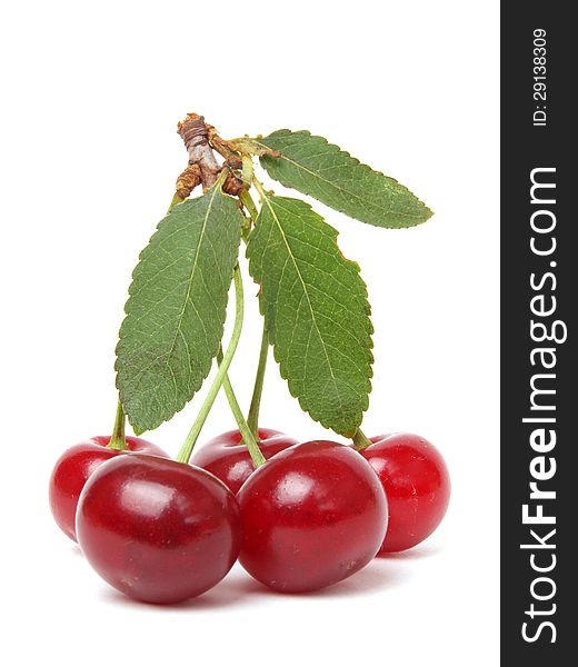 Cherries with leaves on white background. Cherries with leaves on white background.