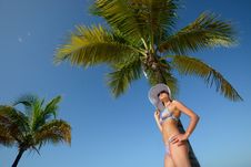 Woman In Summer Hat Sunbathing Under A Palm Tree On A Background Stock Image Woman In Summer Hat Sunbathing Under A Palm Tree On A Background Stock Image