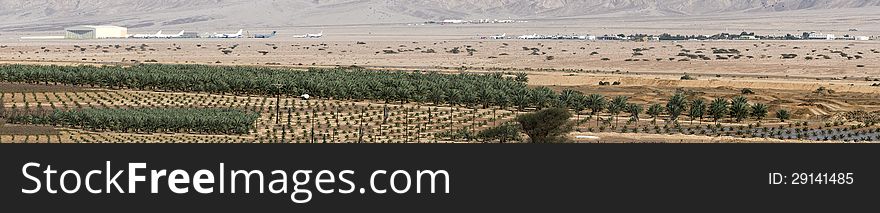 Agriculture in desert, Eilat ,Israel. Agriculture in desert, Eilat ,Israel