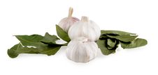 Bay Leaf And Garlic Royalty Free Stock Image