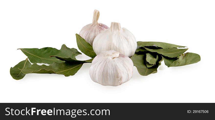 Bay leaf and garlic on white background