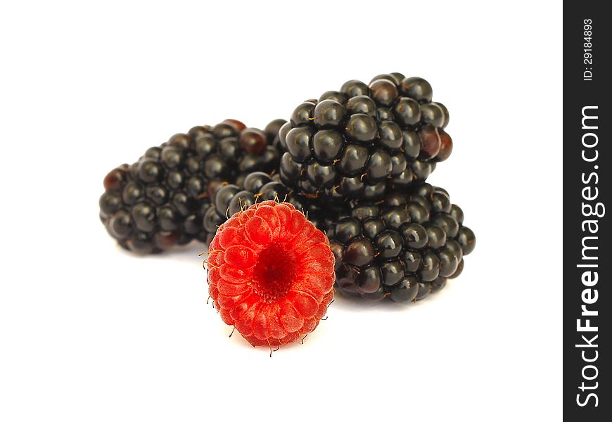 Raspberry and blackberry on white background