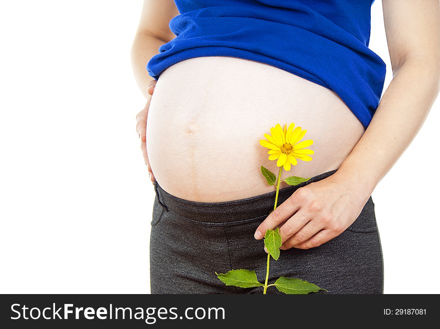 Abdomen pregnant girl with a flower