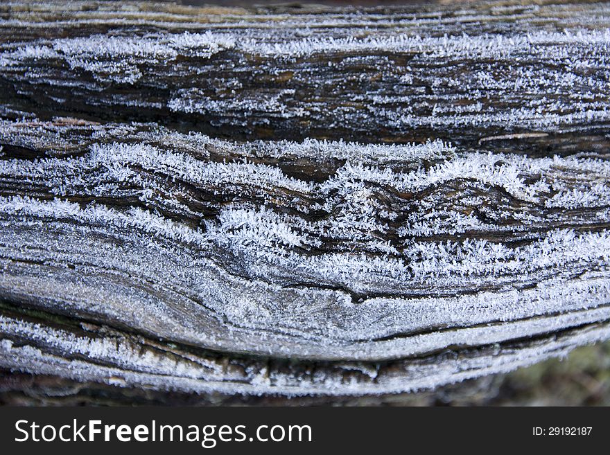 Frozen tree bark detail, snow crystals on wood. Frozen tree bark detail, snow crystals on wood