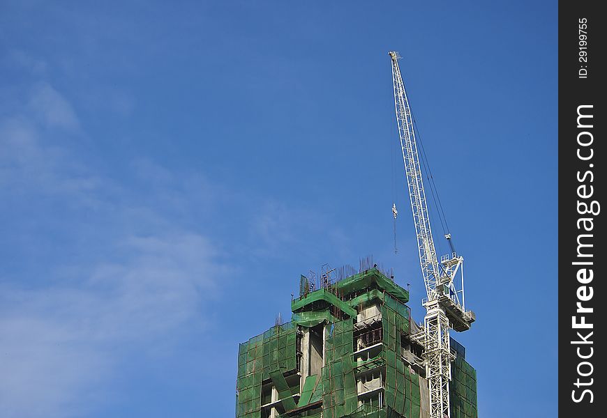 Condominium crane