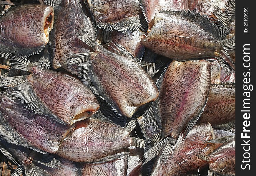 Stall of dry fish for drying in sunlight