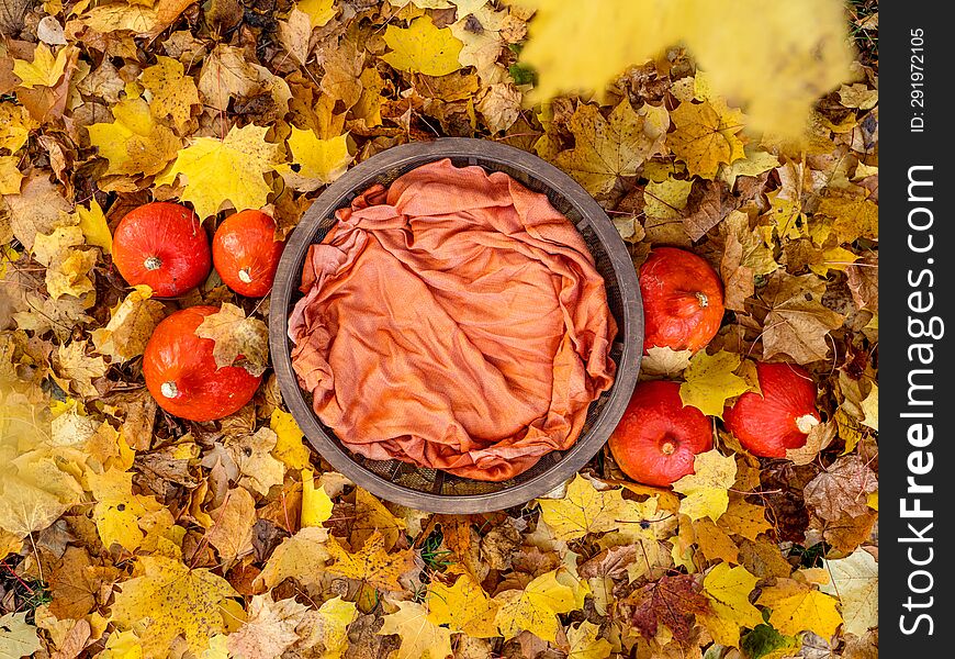 round wooden basket for a newborn baby for composite photography, with a blanket inside, stands on orange autumn leaves surrounded by pumpkins, halloween, top view, 90 degrees