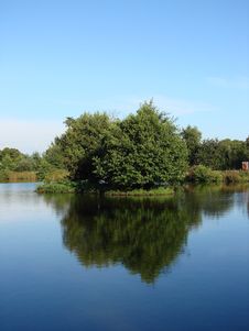Course Fishing Pond Stock Image Course Fishing Pond Stock Image