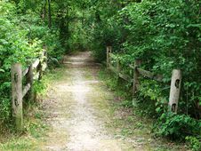 Pathway Into Forest Royalty Free Stock Photos Pathway Into Forest Royalty Free Stock Photos