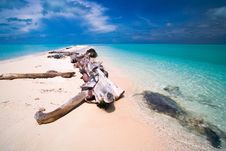Tropical Island Paradise Stock Photography Tropical Island Paradise Stock Photography