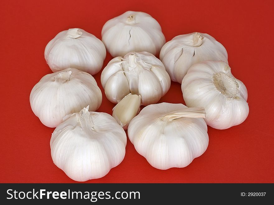 Close up  garlic in red background