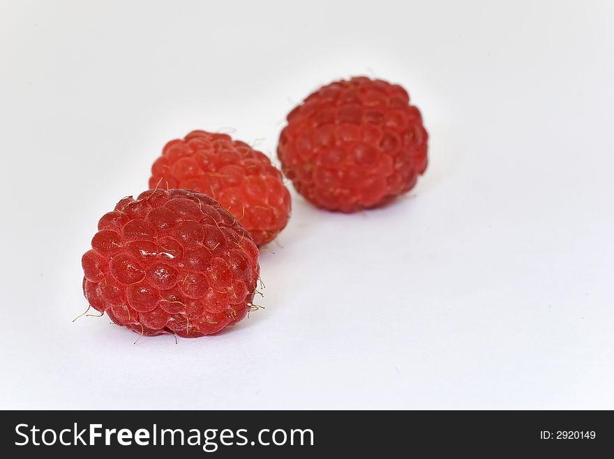Red berry in white background