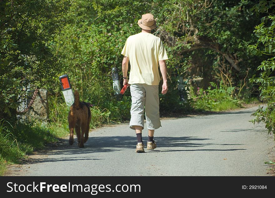 Male walking Dog along a leafy lane in bright sunshine. Male walking Dog along a leafy lane in bright sunshine