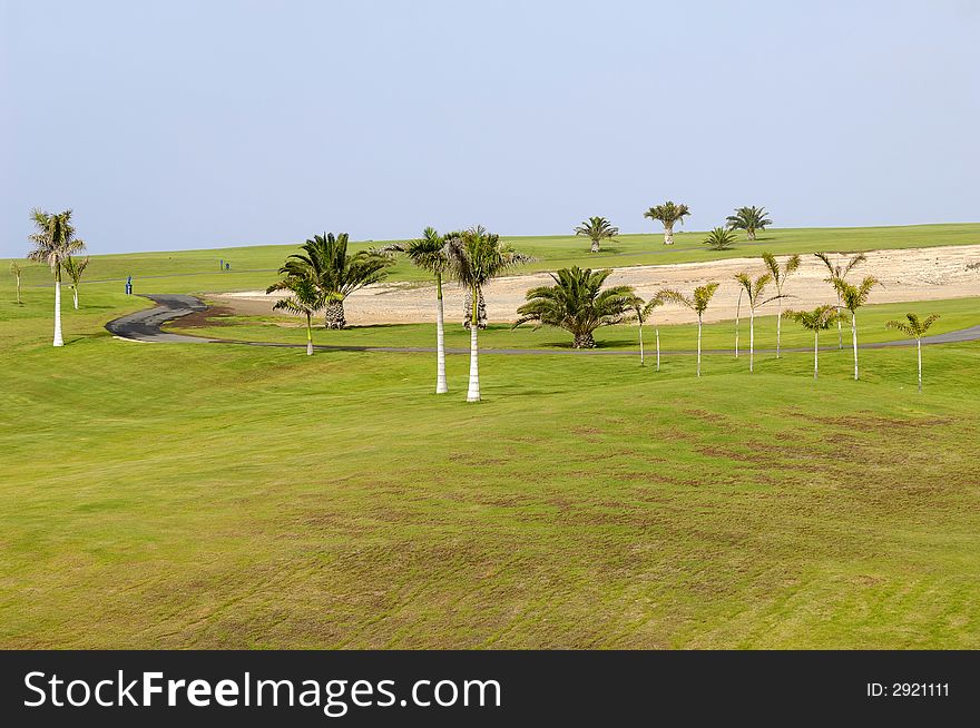 Palms on golf course