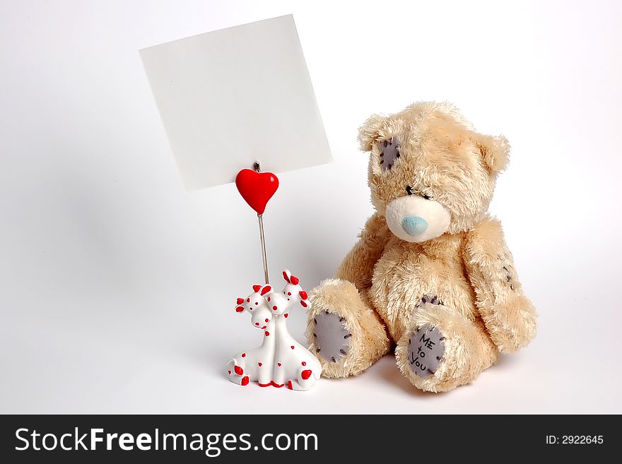 Paper holder with teddy bear isolated on white