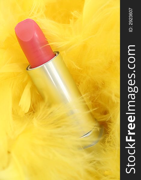 Feathers and  lipstick 1 6