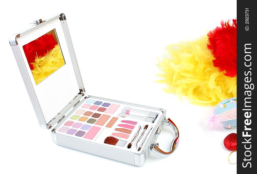Makeup briefcase and feathers 3