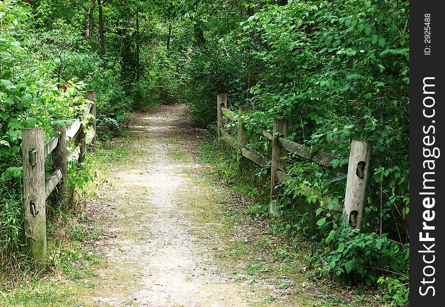 Beautiful quiet summer afternoon, footpath into woodland. Beautiful quiet summer afternoon, footpath into woodland