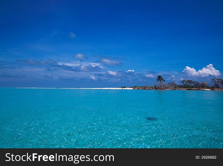 A spectacular private tropical beach with towering palm trees and a white sand beach with caribbean blue water. Space for text. A spectacular private tropical beach with towering palm trees and a white sand beach with caribbean blue water. Space for text.