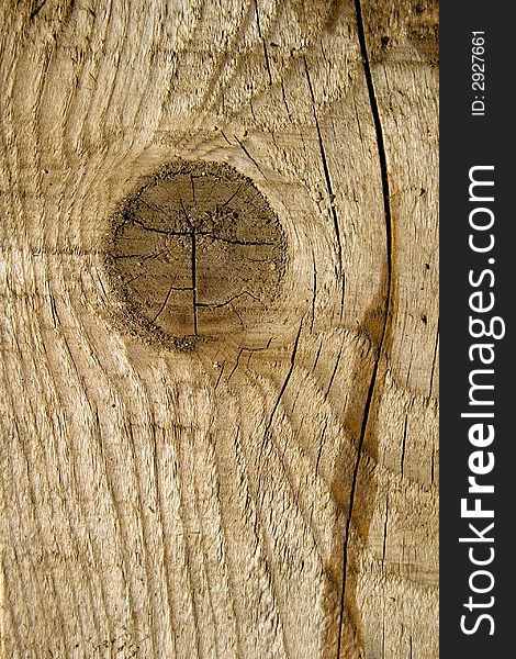 Close-up wooden cut texture. Close-up wooden cut texture