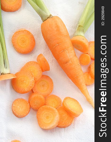 Group of Carrot