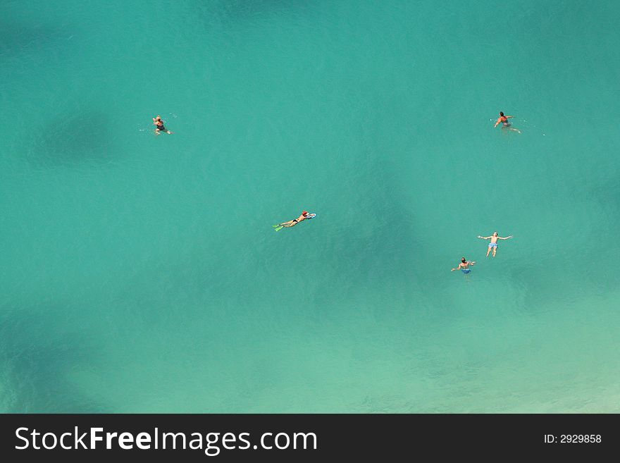 Swimming in the ocean