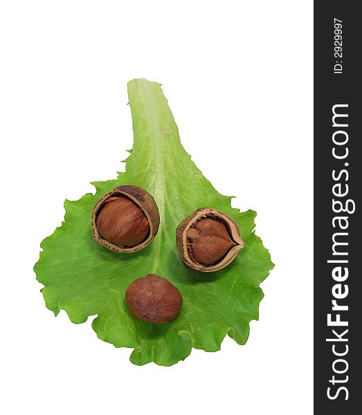 Leaf of salad and hazelnuts on a white background. Leaf of salad and hazelnuts on a white background